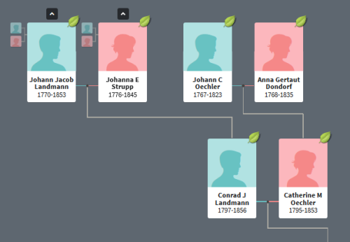 Screenshot from Ancestry tree with J. Jacob Lanmann married to Johanna Strupp leading to son Conrad J Landmann born 1797 married to Catherine M. Oechler born 1795 leading up to parents Johann C. Oechler and Anna Gertaut Dondorf born 1768.